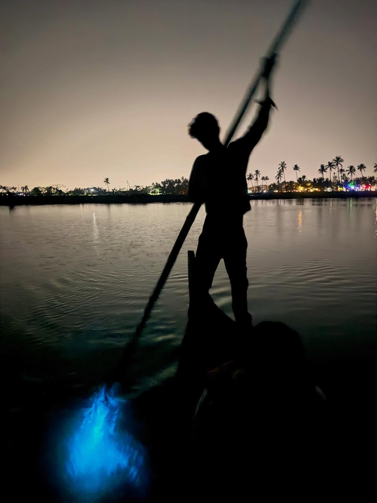 Vue de Baie bioluminescente