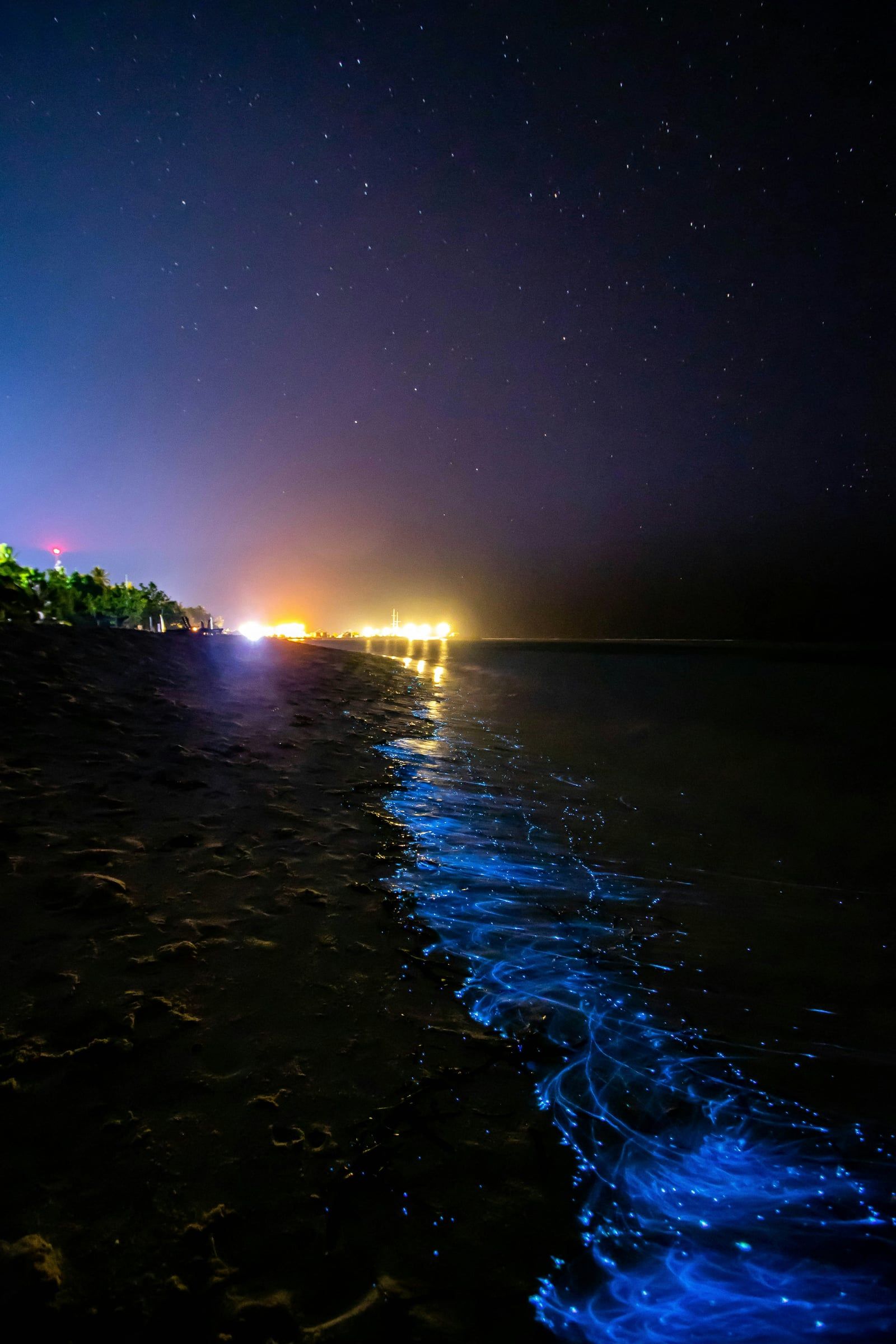 Vue de Baie bioluminescente