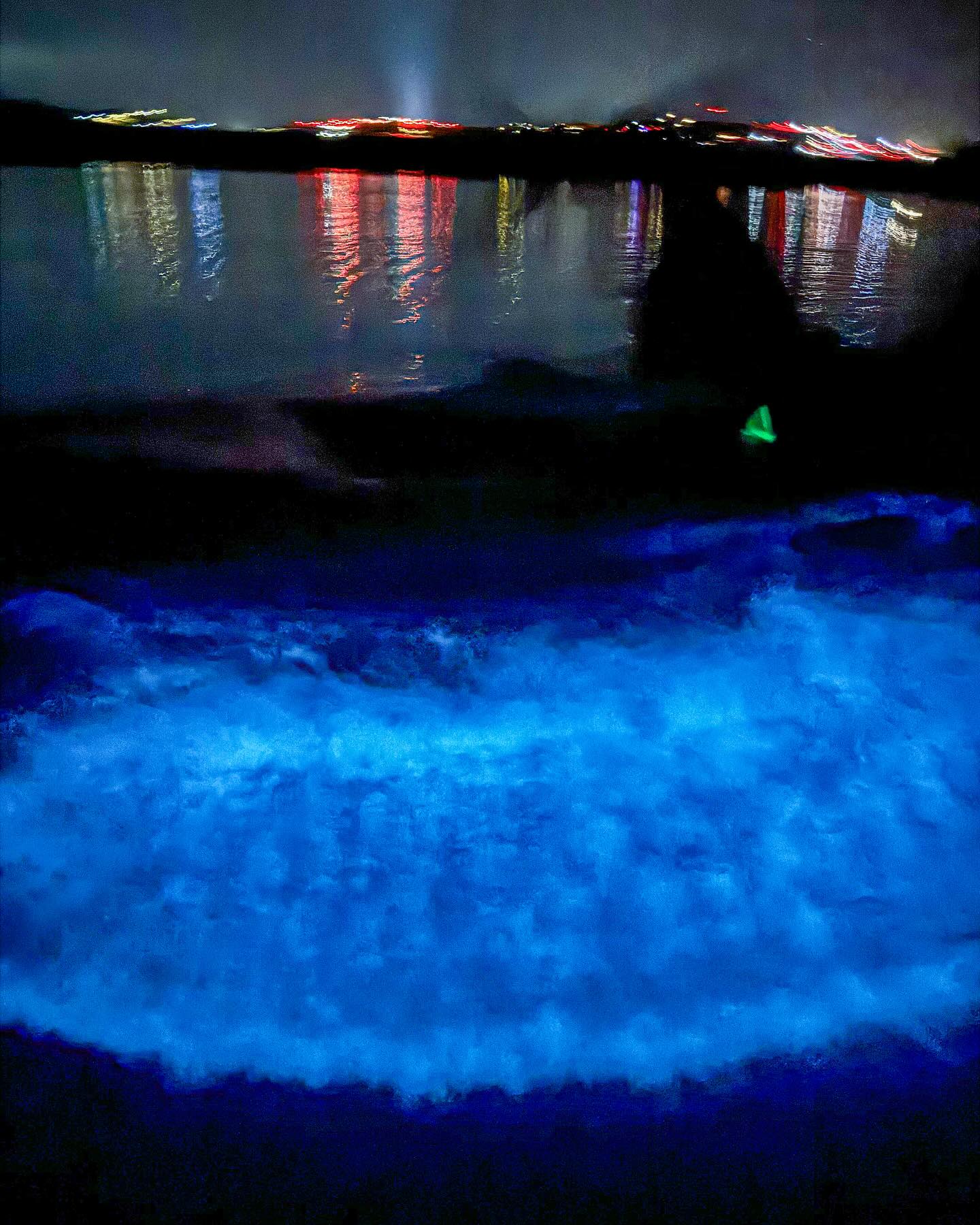 Vue de Baie bioluminescente