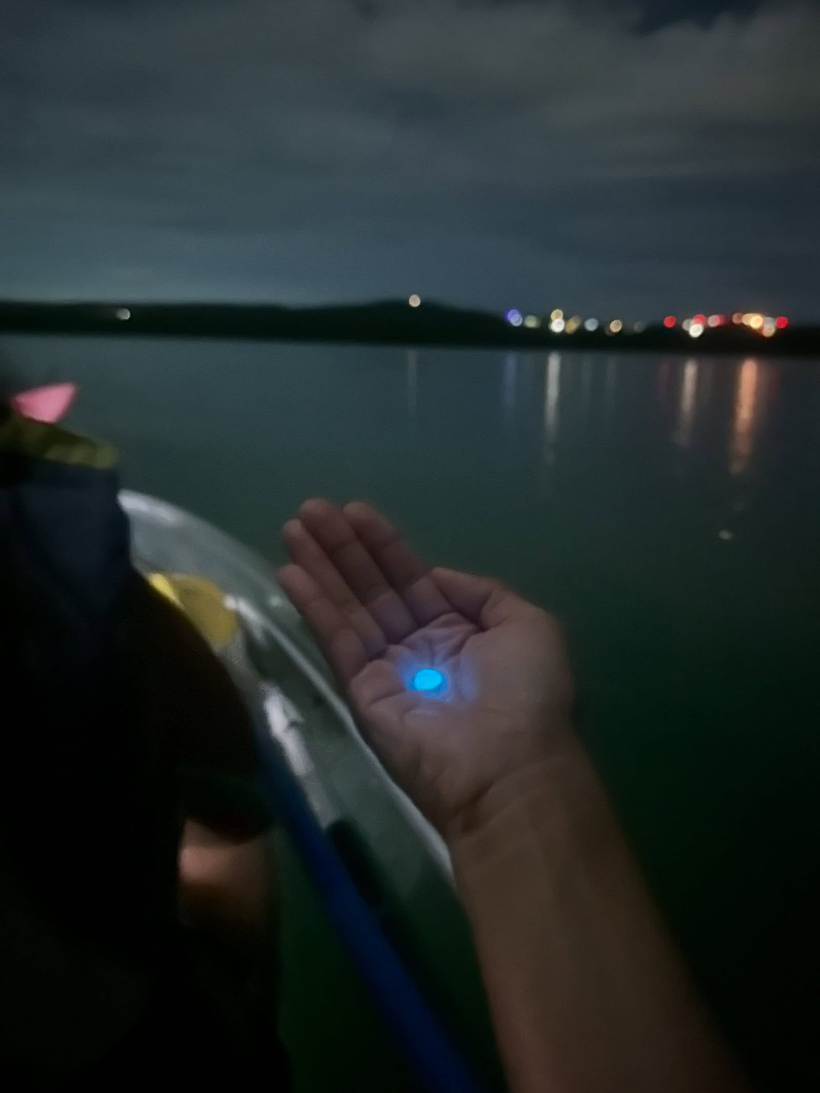 Photo d'un visiteur de la visite de Baie bioluminescente