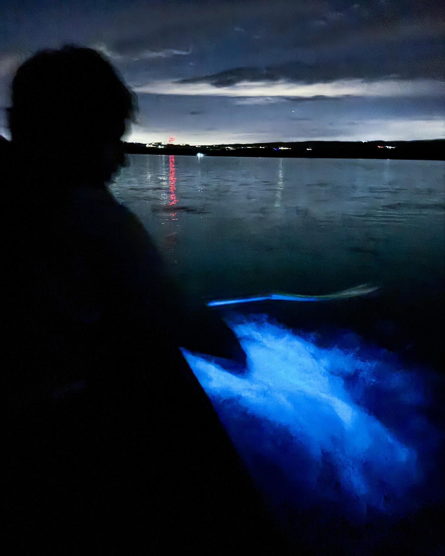 Photo d'un visiteur de la visite de Baie bioluminescente