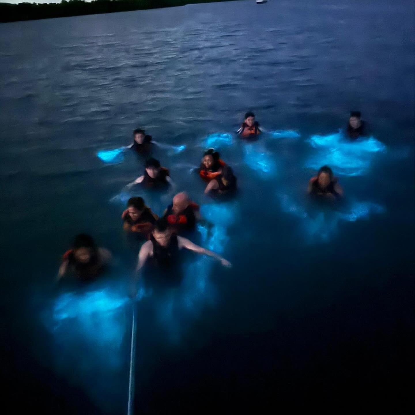 Photo d'un visiteur de la visite de Baie bioluminescente