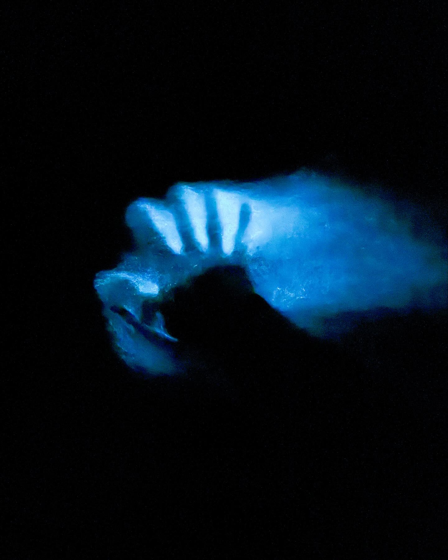 Photo d'un visiteur de la visite de Baie bioluminescente